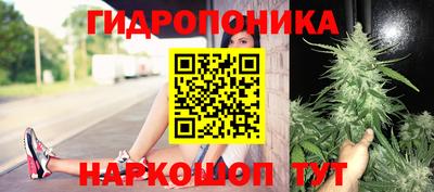 Альфа ПВП Кунгур