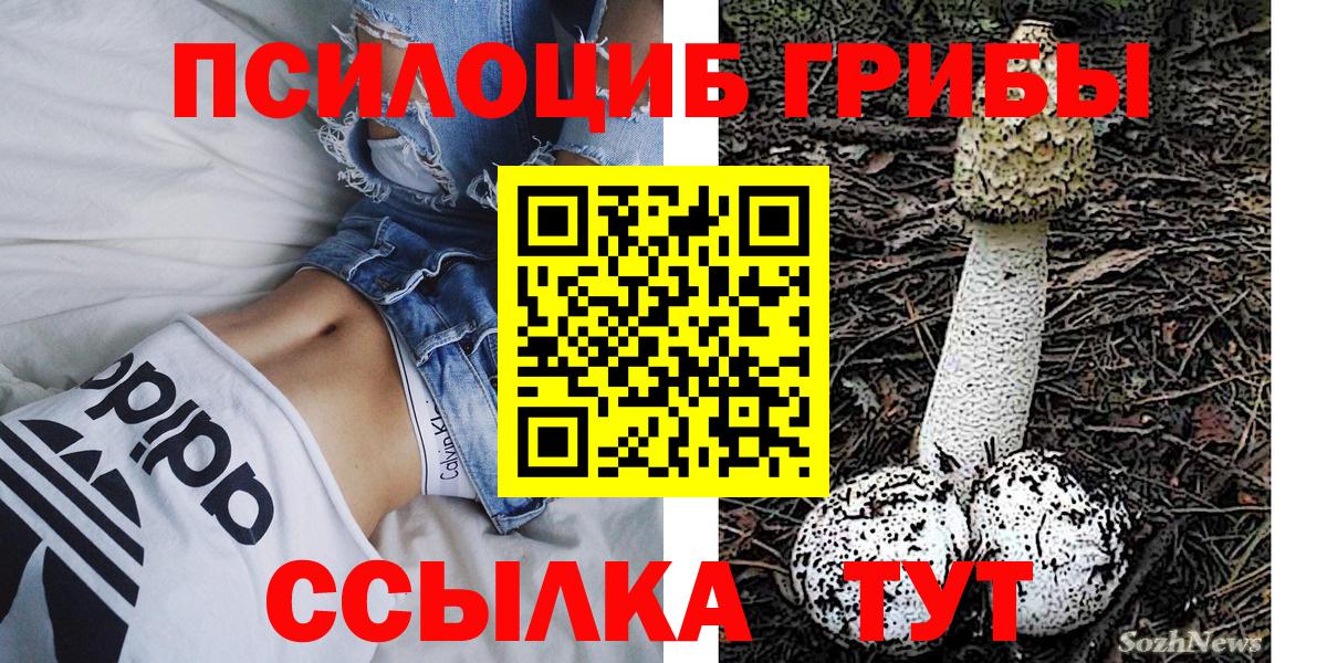 Заволжье  Галлюциногенные грибы мухоморы  Вход с VPN 