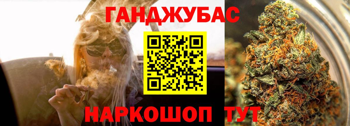 Конопля гибрид Заволжье